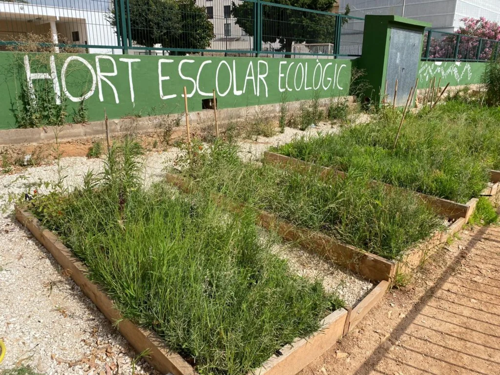 WhatsApp Image 2023-09-22 at 15.47.13 (2) copia