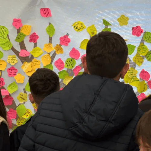 Fira de Sostenibilitat de Vinalesa