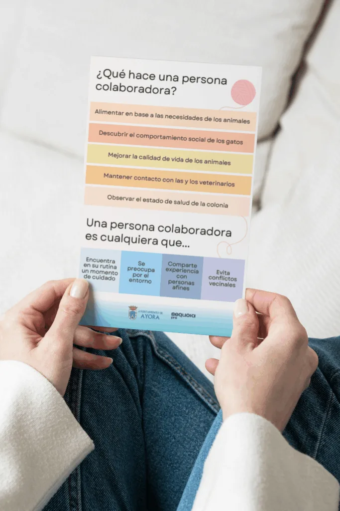 mockup 1