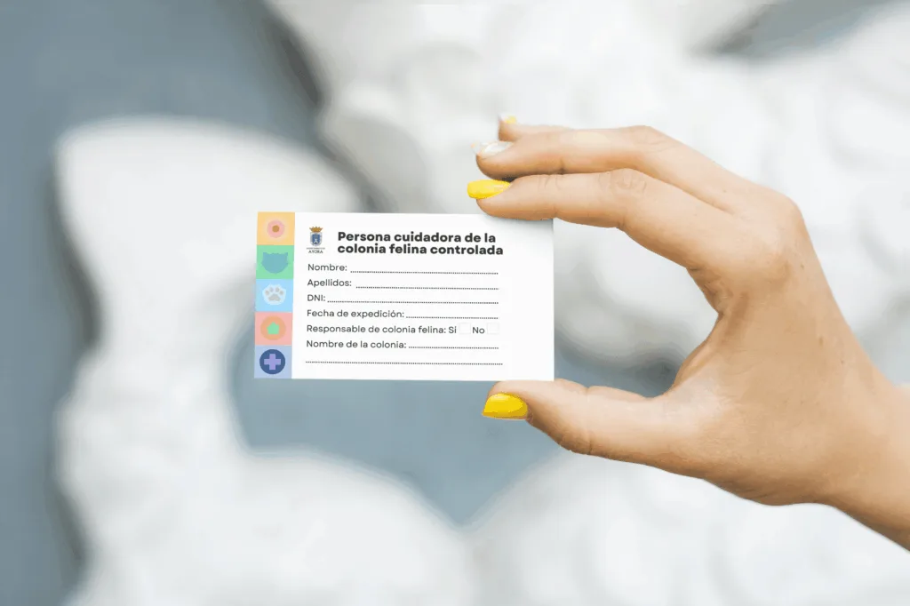mockup 6