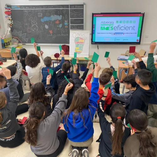 Alboraia més eficient